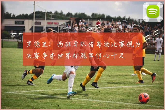 罗德里：西班牙队将每场比赛视为决赛争夺世界杯冠军信心十足